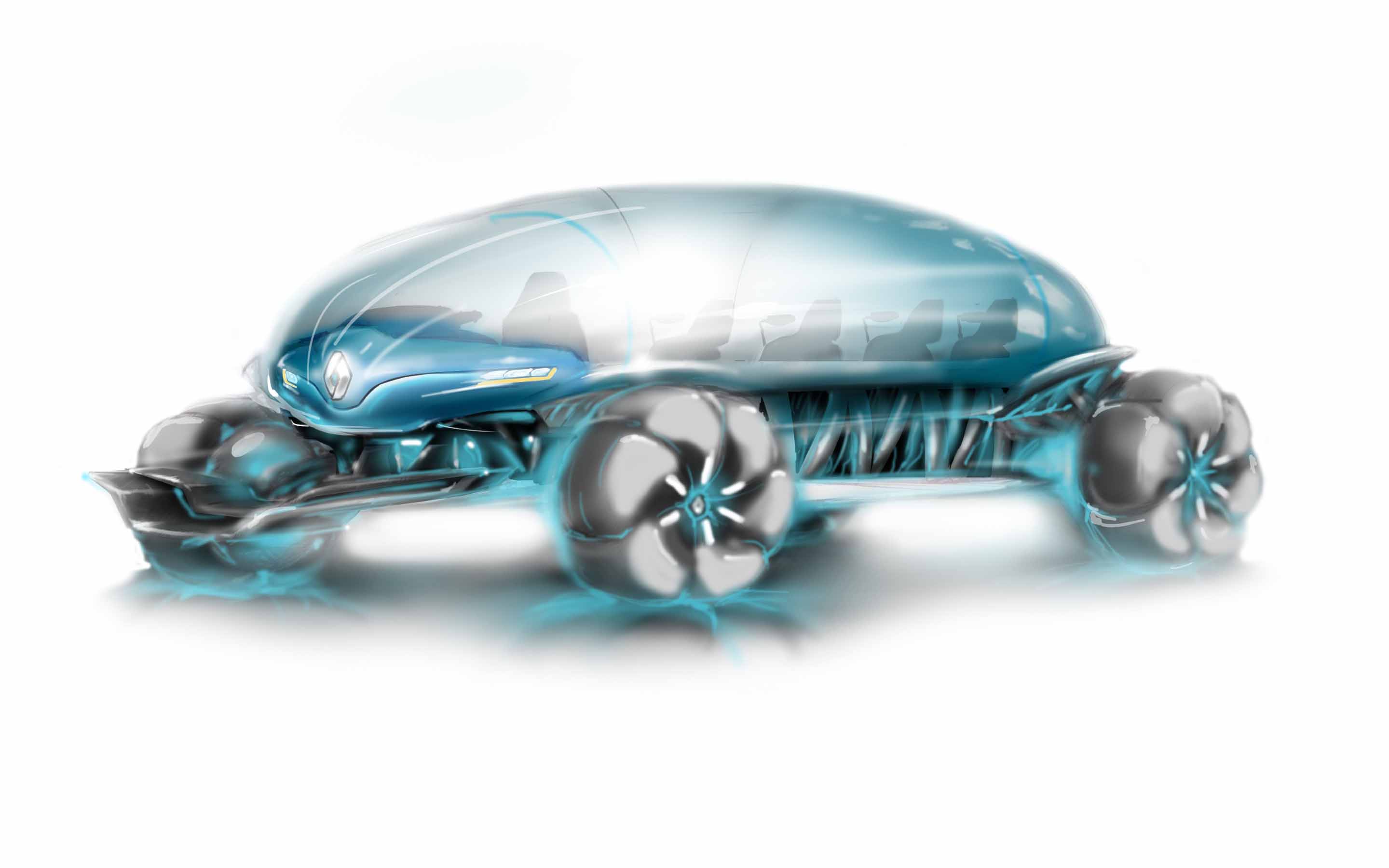 버섯차 복사.jpg