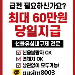 [당일 최대 지급금액] ...